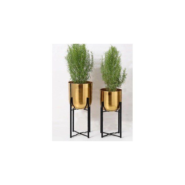 Plants Holder- Small